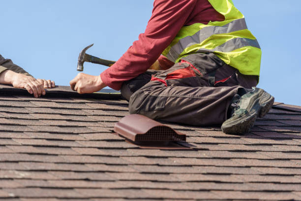 Best Roof Leak Repair  in Elk Point, SD