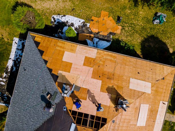 Professional Roofing Contractor in Elk Point, SD